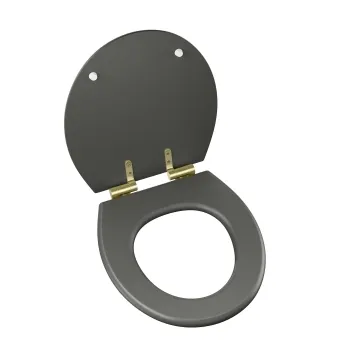 Hudson Traditional Graphite Grey Wooden Soft Close Seat with Brushed Brass Hinges