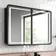 Olivia Black Framed Illuminated LED Mirror Cabinet 710x1000mm