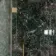 Trepanel Aqua Luxe® Green Dramatic Marble Effect Embossed Gloss SPC XXL Wall Panel