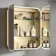 Willow Brushed Brass Illuminated LED Mirror Cabinet With BLUETOOTH Speaker & USB Port 700x600mm
