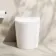 Loma Matt White Rimless Back To Wall Toilet With Premium Soft Close Slim Seat