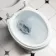 Lima Traditional Close Coupled Toilet With Cotton White Wooden Seat