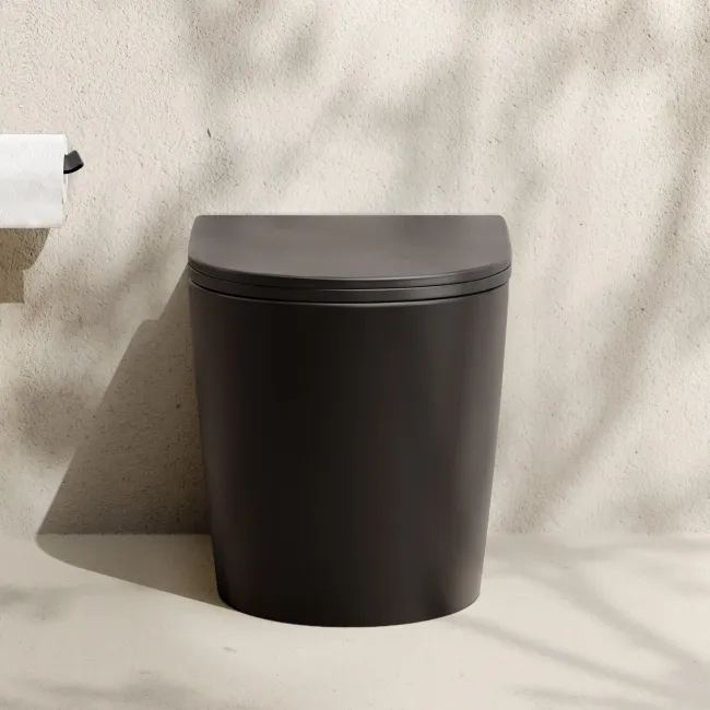 Loma Matt Black Rimless Back To Wall Toilet With Premium Soft Close Slim Seat