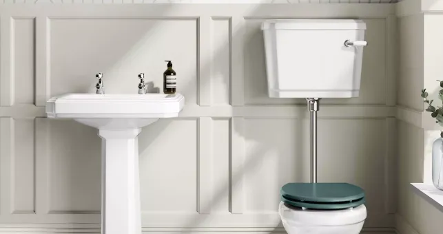 Toilet Problems: Causes, Fixes, Costs, Regulations, and Prevention Guide