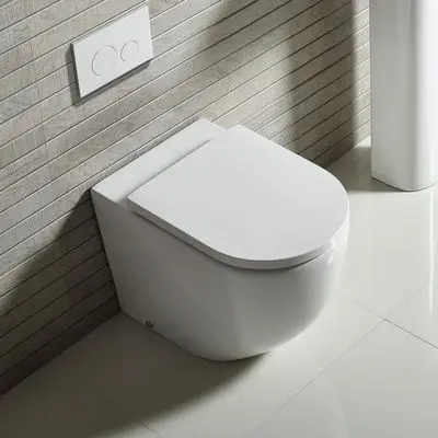 Back To Wall Toilets