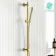 Suir Brushed Brass Shower and Sliding Riser Set