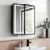 Olivia Black Framed Illuminated LED Mirror Cabinet 710x600mm
