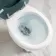 Hudson Traditional Toilet With High-Level Cistern and Midnight Green Wooden Seat