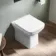 Dallas Rimless Back To Wall Toilet With Slim Soft Close Seat