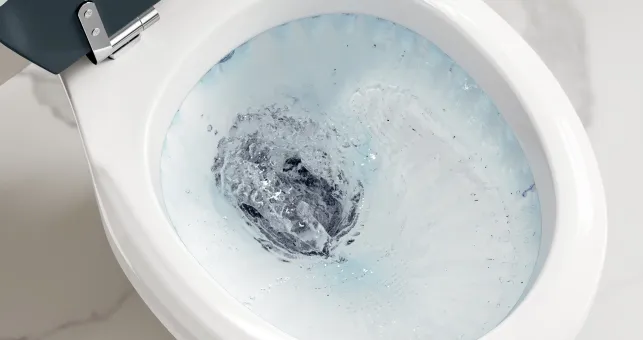 Toilet Flushing Slow: Causes, DIY Fixes, Rim Hole Cleaning, Plunging And Auger Use
