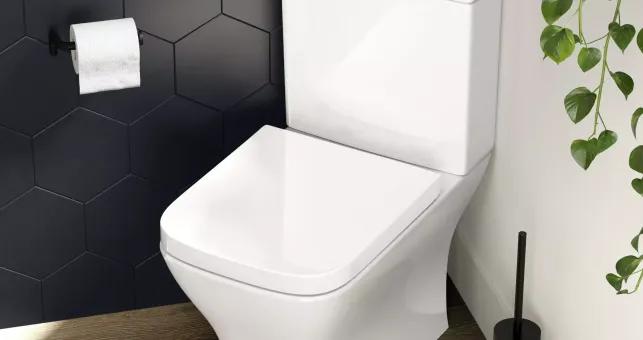 Types Of Toilet: Installation, Trap Types, Cistern Styles, Flush Systems And Features