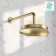 Corrib Premium Brushed Brass Shower Head with Wall Mounted Arm