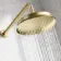Corrib Premium Brushed Brass Shower Head with Wall Mounted Arm