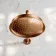Corrib Premium Brushed Copper Shower Head with Wall Mounted Arm