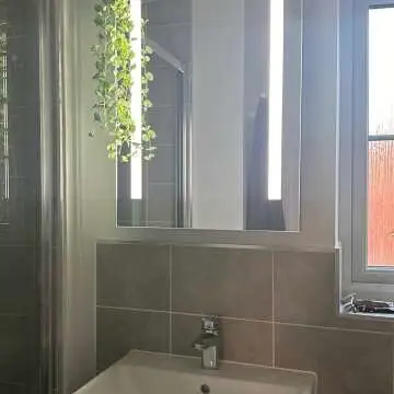 Emielia Battery Powered Illuminated LED Cloakroom Mirror Cabinet 600x450mm