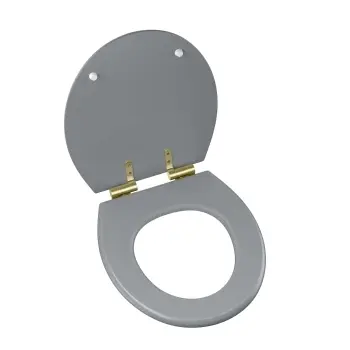 Hudson Traditional Dove Grey Wooden Soft Close Seat with Brushed Brass Hinges