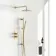 Suir Premium Brushed Brass Round Thermostatic Shower Set with Knurled Detailing