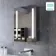 Emielia Battery Powered Illuminated LED Cloakroom Mirror Cabinet 600x450mm