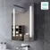 Emielia Battery Powered Illuminated LED Mirror Cabinet 700x500mm