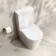 Loma Matt White Rimless Fully Back To Wall Close Coupled Toilet With Premium Soft Close Slim Seat