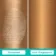 Idaho Pneumatic Wall Hung Toilet Frame and Concealed Cistern with Brushed Copper Flush Plate - Square Buttons