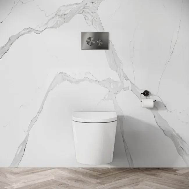 Idaho Pneumatic Wall Hung Toilet Frame and Concealed Cistern with Brushed Gunmetal Flush Plate - Round Buttons
