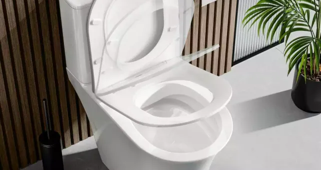 Best Rimless Toilet: How Rimless Toilets Work, Benefits, Drawbacks, Buying Factors And Costs