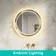 Isabel Brushed Brass Round LED Mirror with Front & Back Illumination 600mm