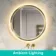 Isabel Brushed Brass Round LED Mirror with Front & Back Illumination 800mm