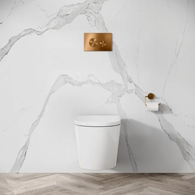 Idaho Pneumatic Wall Hung Toilet Frame and Concealed Cistern with Brushed Copper Flush Plate - Round Buttons