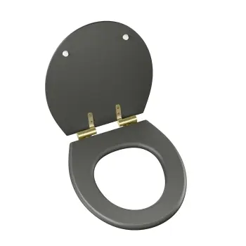 Hudson Traditional Graphite Grey Wooden Soft Close Seat with Brushed Brass Hinges