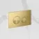 Idaho Pneumatic Top & Front Compact Wall Hung Toilet Frame and Concealed Cistern with Brushed Brass Flush Plate - Round Buttons