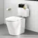 Arizona Pneumatic Concealed Cistern With Brushed Brass Round Push Button