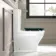 Kansas Traditional Rimless Close Coupled Toilet With Midnight Green Wooden Seat