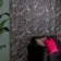 Trepanel Design® Tropical Jungle Acoustic Wood Wall Panels