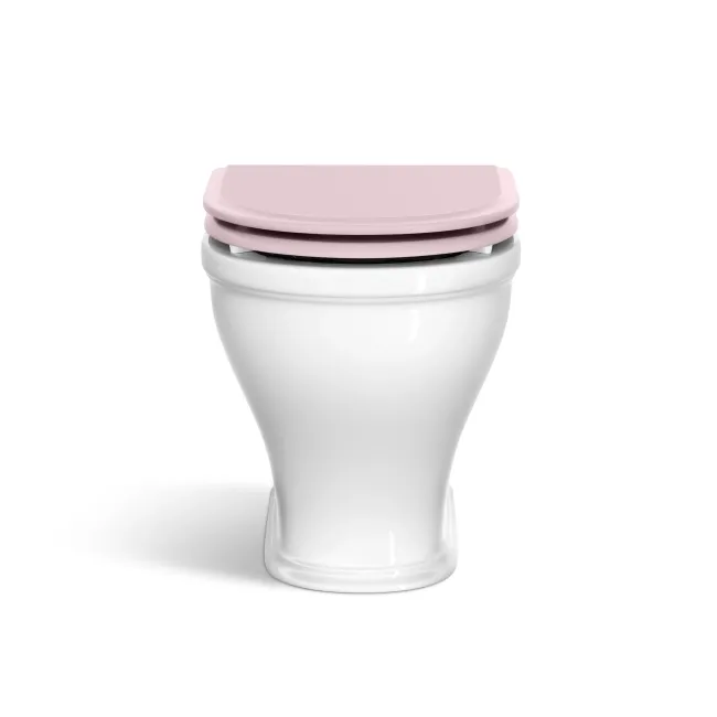 Kansas Traditional Rimless Back To Wall Toilet With Cashmere Pink Wooden Seat - Brushed Brass Hinges