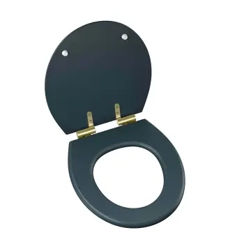 Hudson Traditional Inky Blue Wooden Soft Close Seat with Brushed Brass Hinges