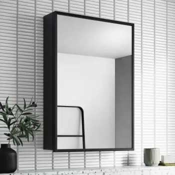 Mia Black Framed Mirror Cabinet 710x500mm