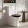Alma Traditional Gloss Black Wooden Soft Close Seat with Brushed Brass Hinges