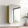 Olivia Matt Brass Mirror Cabinet 610x450mm