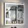 Ivy Recessed LED Mirror Cabinet 700x500mm