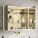 Margot Brushed Brass Illuminated LED Mirror Cabinet With BLUETOOTH Speaker & USB Port 700x800mm
