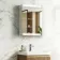 Felicity Gloss White LED Mirror Cabinet 600x450mm