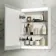 Felicity Gloss White LED Mirror Cabinet 600x450mm