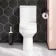 Denver Rimless Comfort Height Close Coupled Toilet & Pedestal Basin Set