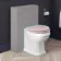 Hudson Traditional Back To Wall Toilet With Cashmere Pink Wooden Seat