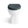 Hudson Traditional Back To Wall Toilet With Inky Blue Wooden Seat - Brushed Brass Hinges