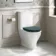 Kansas Traditional Rimless Close Coupled Toilet With Midnight Green Wooden Seat Brass Hinges