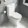 Kansas Traditional Rimless Close Coupled Toilet With Cotton White Wooden Seat - Brushed Brass Hinges