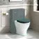 Kansas Traditional Rimless Back To Wall Toilet With Midnight Green Wooden Seat Brushed Brass Hinges